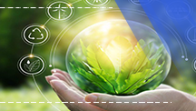 Corporate Sustainability Certificate Program