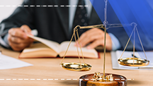Business Law Expert Mediation Training