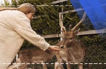 Ausbildung in Wildtierproduktion und -krankheiten
