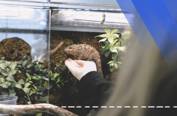 Biological Diversity and Conservation Training Program