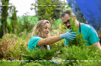Forest Botany Training Program