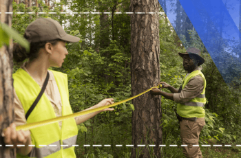Forest Conservation Training Program