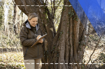 Forest Entomology Training Program