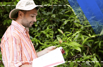 Plant Geography Training Program