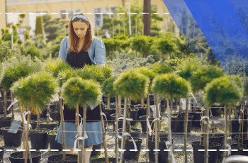 Sapling Techniques Training Program