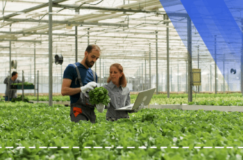 Sera Yapım Tekniği ve Yapım Teknolojisi Eğitim Programı