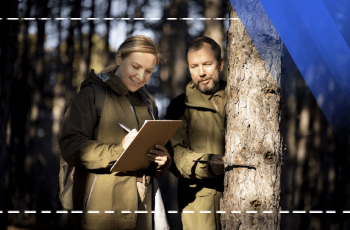 Silviculture Training Program