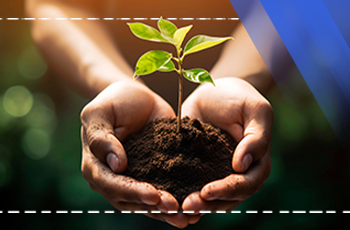 Sustainability Training in the Agriculture and Food Sector in the Process of Compliance with the European Union Green Memorandum